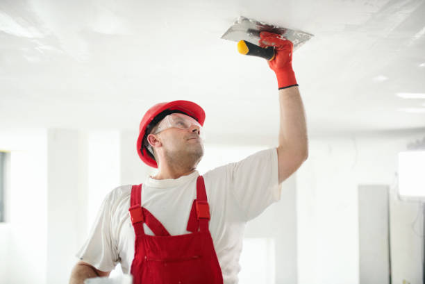 Trusted Snyder, TX Dry wall and painting Experts